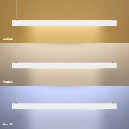 LINEA LED kábeles csillár, 36W/230V, 3000/4000/5700K, CRI 90, fehér