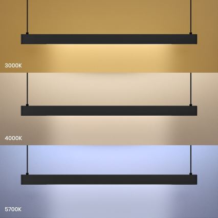 LINEA LED kábeles függeszték 36W/230V 3000/4000/5700K CRI 90 fekete