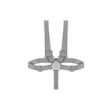 Lionelo - Gyermek étkezőszék 2in1 DALIA fehér/szürke