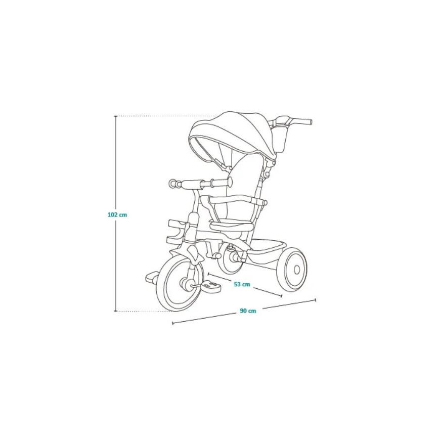 Lionelo - Gyermek tricikli BERRY Grey Stone
