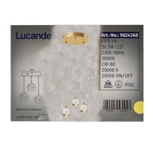 Lucande - LED Csillár zsinóron HEYLEY 3xLED/5W/230V