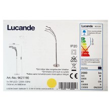Lucande - LED Dimmelhető állólámpa CATRIONA 5xLED/5W/230V