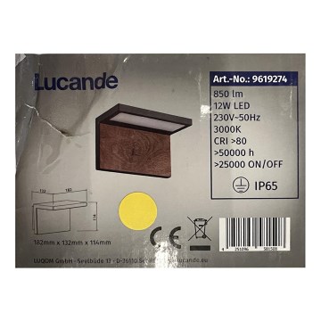 Lucande - LED Kültéri fali lámpa LIGNUS LED/12W/230V IP65