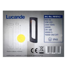 Lucande - LED Kültéri lámpa FENTI LED/12W/230V IP65