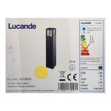 Lucande - LED Kültéri lámpa NICOLA LED/7W/230V IP54