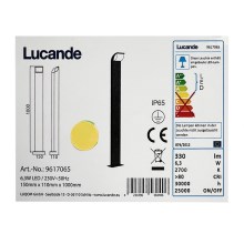 Lucande - LED Kültéri lámpa TINNA LED/6,3W/230V IP65