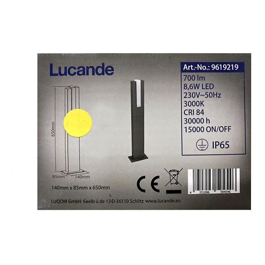 Lucande - LED Kültéri lámpa VIRGALIA LED/8,6W/230V