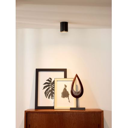 Lucide 09100/01/30 - Spotlámpa BODI 1xGU10/50W/230V