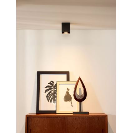 Lucide 09101/01/30 - Spotlámpa BODI 1xGU10/50W/230V