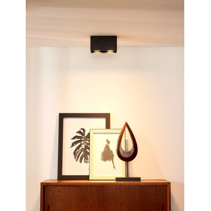 Lucide 09101/02/30 - Spotlámpa BODI 2xGU10/50W/230V