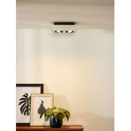 Lucide 09119/11/31 - LED dimmelhető spotlámpa XIRAX 2xGU10/5W/230V