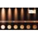 Lucide 09921/12/31 - LED Dimmelhető spotlámpa FEDLER 1xGU10/12W/230V 2200-3000K CRI95 fehér