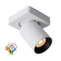 Lucide 09929/05/31 - LED Dimmelhető spotlámpa NIGEL 1xGU10/5W/230V fehér CRI 95