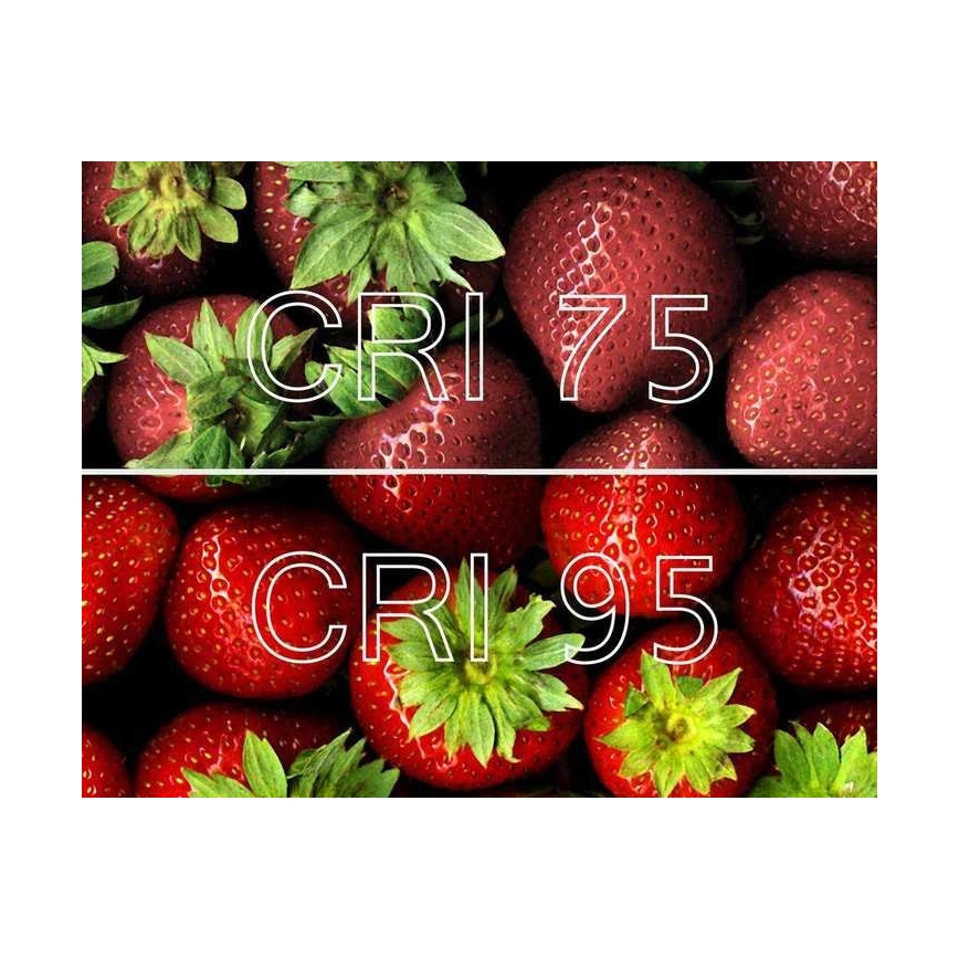 Lucide 09929/05/31 - LED Dimmelhető spotlámpa NIGEL 1xGU10/5W/230V fehér CRI 95