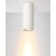 Lucide 35100/17/31 - Mennyezeti lámpa GIPSY 1xGU10/35W/230V fehér