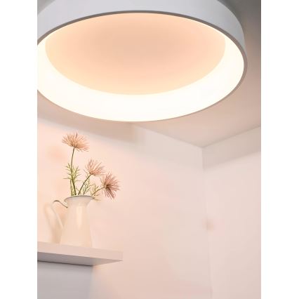 Lucide 46100/80/31 - LED dimmelhető mennyezeti lámpa TALOWE LED/80W/230V ? 80 cm