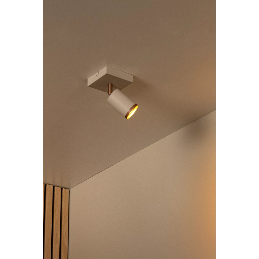 Lucide 53914/01/41 - REGINA irányítható spotlámpa 1xGU10/50W/230V, bézs