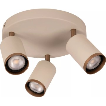 Lucide 53914/13/41 - REGINA spotlámpa 3x GU10/50W/230V, bézs