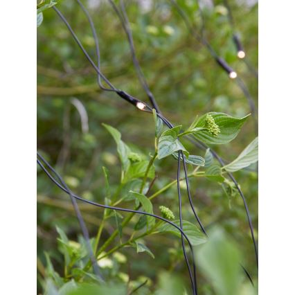 Markslöjd 108178 - LED kültéri karácsonyi fényfüggöny GARDEN24 160xLED/24V 2x2m meleg fehér