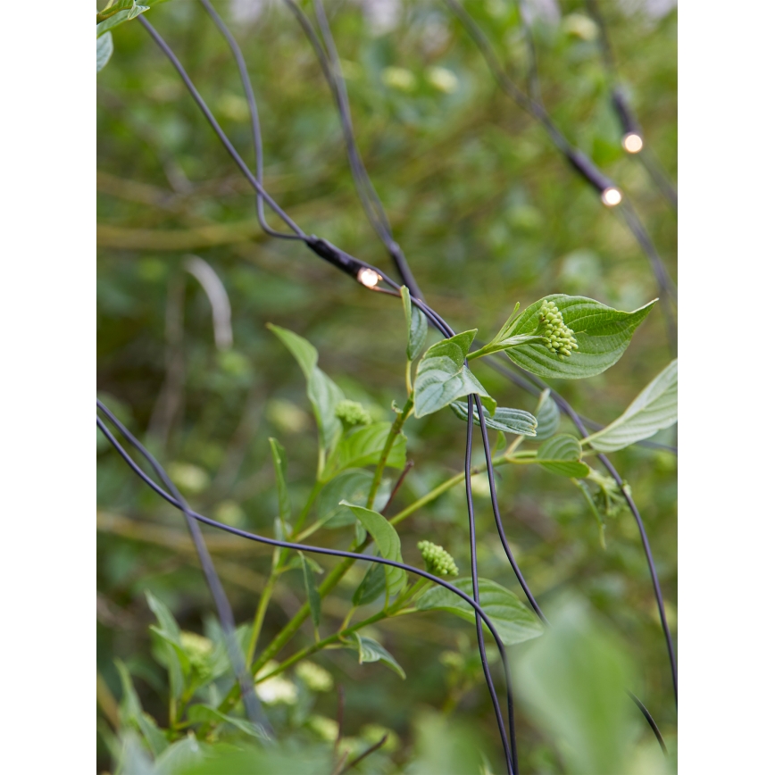 Markslöjd 108178 - LED kültéri karácsonyi fényfüggöny GARDEN24 160xLED/24V 2x2m meleg fehér