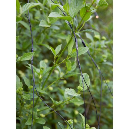 Markslöjd 108178 - LED kültéri karácsonyi fényfüggöny GARDEN24 160xLED/24V 2x2m meleg fehér