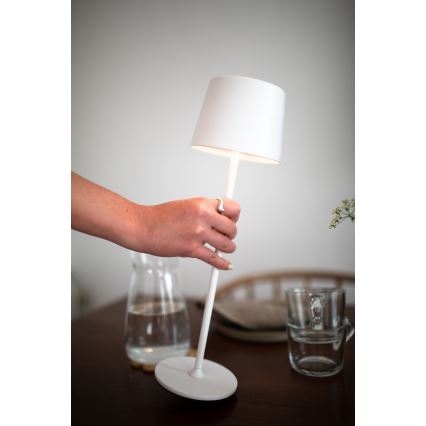 Markslöjd 108654 - LED állítható fényerejű tölthető lámpa FIORE LED/2W/5V IP44 38 cm fehér