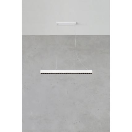 Markslöjd 108892 - Dimmelhető LED függeszték kábellel PLANO LED/38W/230V fehér