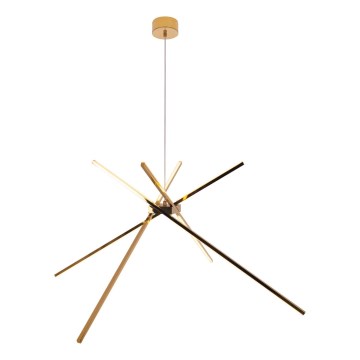 MAXLIGHT P0457 - LED Csillár zsinóron PÓK LED/33W/230V arany