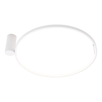 MAXLIGHT W0434 - LED fürdőszobai mennyezeti lámpatest VISUAL LED/22W/230V Ø 60 cm IP44 fehér