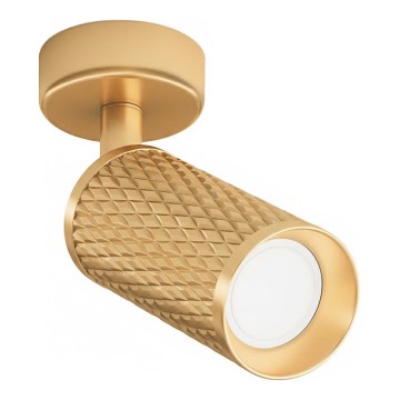 Maytoni C034CL-01G - FOCUS spotlámpa 1xGU10/10W/230V arany