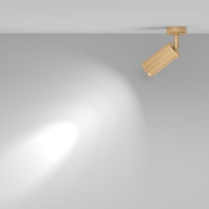 Maytoni C034CL-01G - FOCUS spotlámpa 1xGU10/10W/230V arany