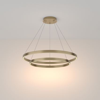 Maytoni MOD058PL-L74BS3K - LED Csillár zsinóron RIM LED/88W/230V 3000K átm. 80 cm arany