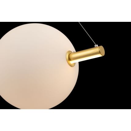 Maytoni MOD063PL-L30G3K - LED Csillár zsinóron FRECCIA LED/30W/230V