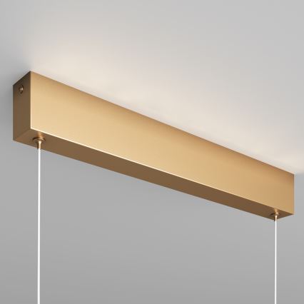 Maytoni P010PL-L23G3K - LED Csillár zsinóron STEP LED/23W/230V 3000K 91 cm arany