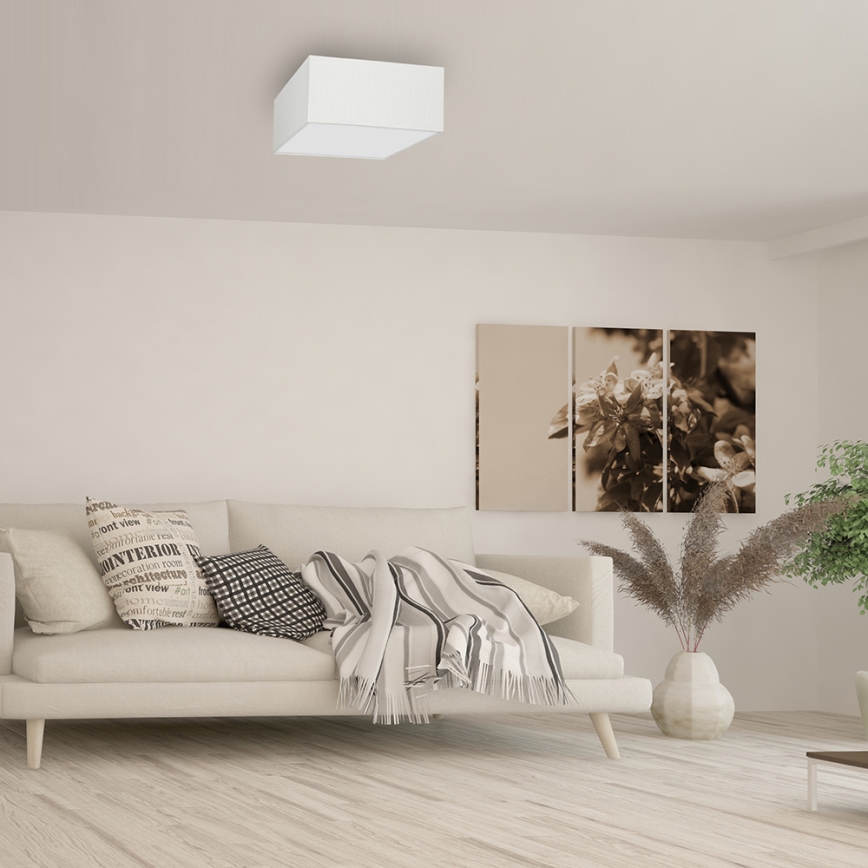 Mennyezeti lámpa ALBION 2xE27/60W/230V