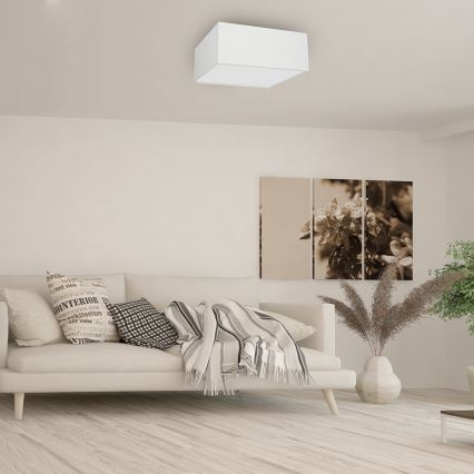 Mennyezeti lámpa ALBION 3xE27/60W/230V