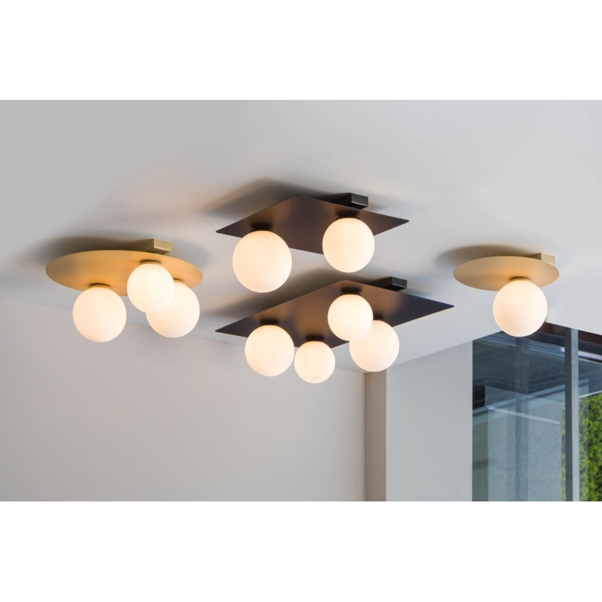 Mennyezeti lámpa ARGON 3xG9/12W/230V arany