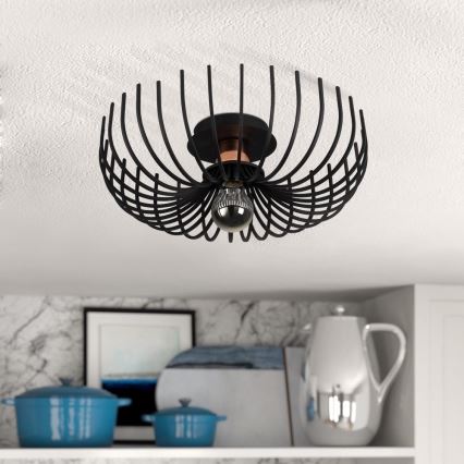 Mennyezeti lámpa ASPENDOS 1xE27/40W/230V