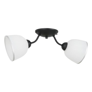 Mennyezeti lámpa AVIA 2xE27/60W/230V