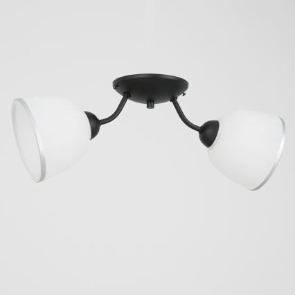 Mennyezeti lámpa AVIA 2xE27/60W/230V