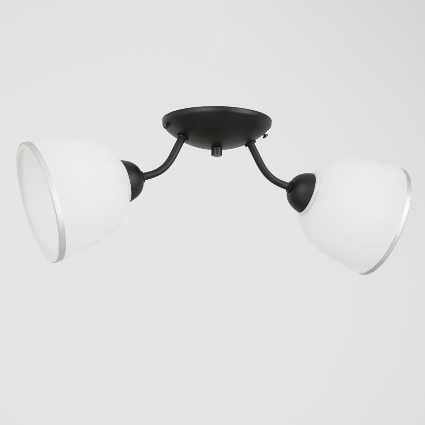 Mennyezeti lámpa AVIA 2xE27/60W/230V