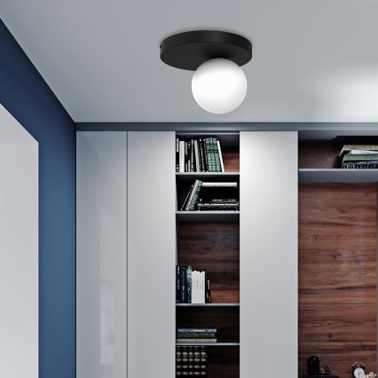 Mennyezeti lámpa BIBIONE 1xG9/25W/230V fekete