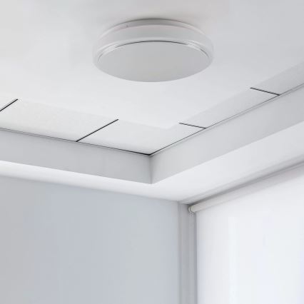 Mennyezeti lámpa BOGDAN 2xE27/20W/230V átm. 33 cm fehér