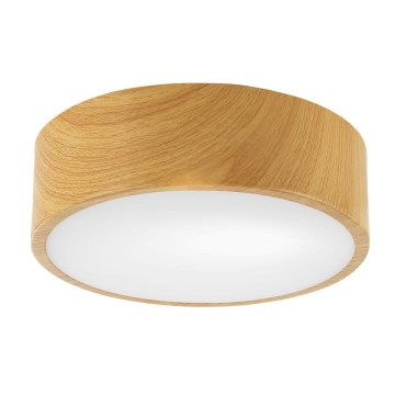 Mennyezeti lámpa DANTE 1xE27/60W/230V á. 26 cm