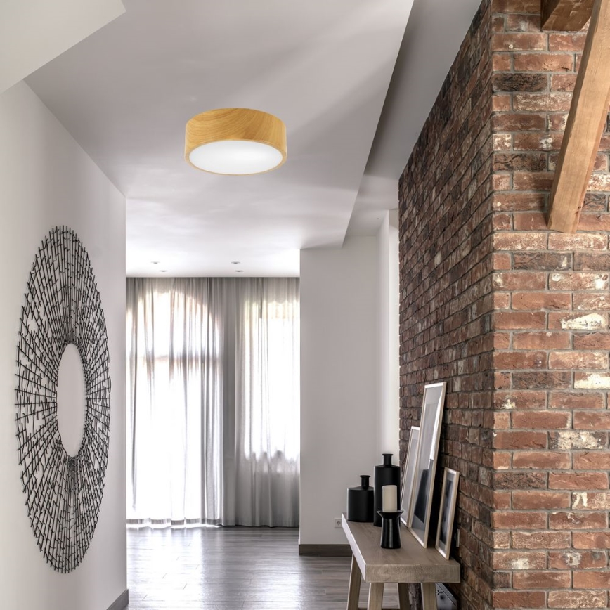 Mennyezeti lámpa DANTE 1xE27/60W/230V á. 26 cm