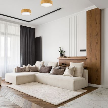 Mennyezeti lámpa DANTE 1xE27/60W/230V á. 26 cm