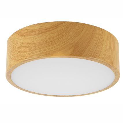 Mennyezeti lámpa DANTE 1xE27/60W/230V á. 26 cm