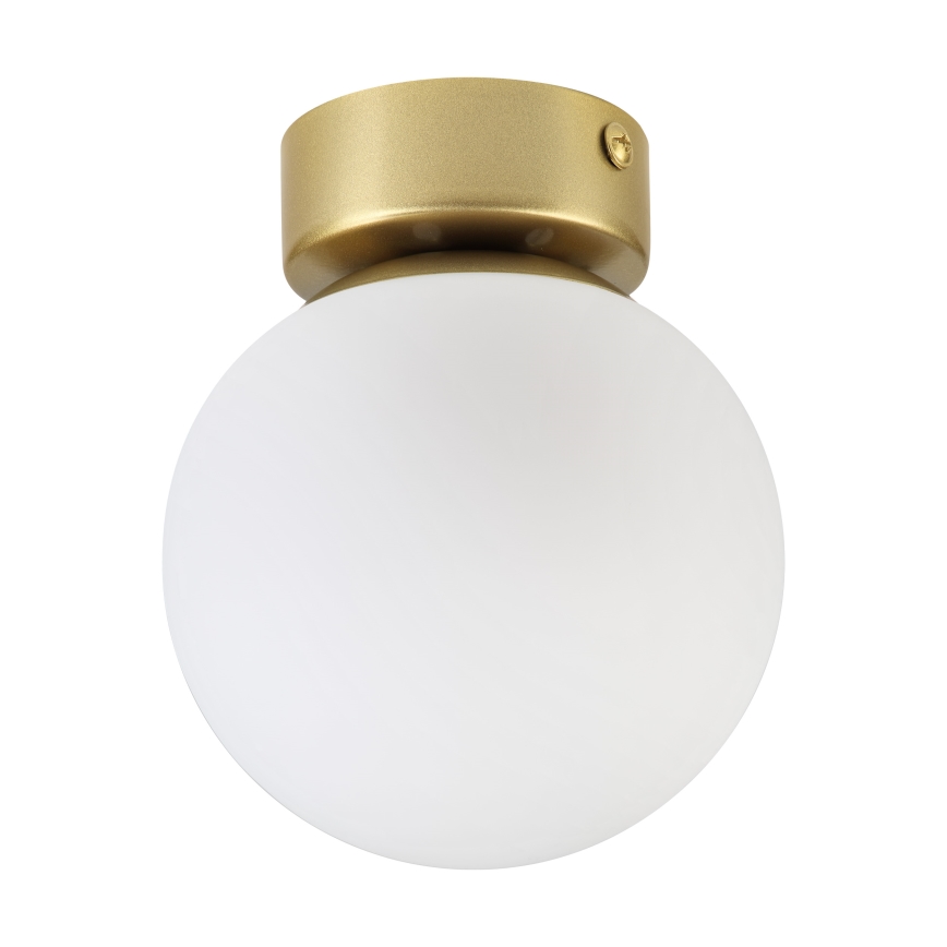 Mennyezeti lámpa ELIAS 1xE14/5W/230V átm. 13 cm arany/fehér