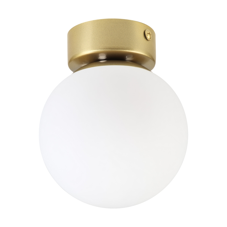 Mennyezeti lámpa ELIAS 1xE14/5W/230V átm. 13 cm arany/fehér