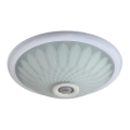 Mennyezeti lámpa érzékelővel PLAFON 2xE27/80W/230V